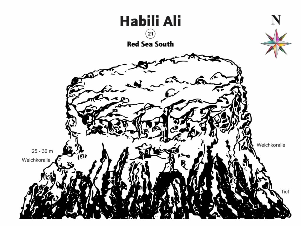 Habili Ali