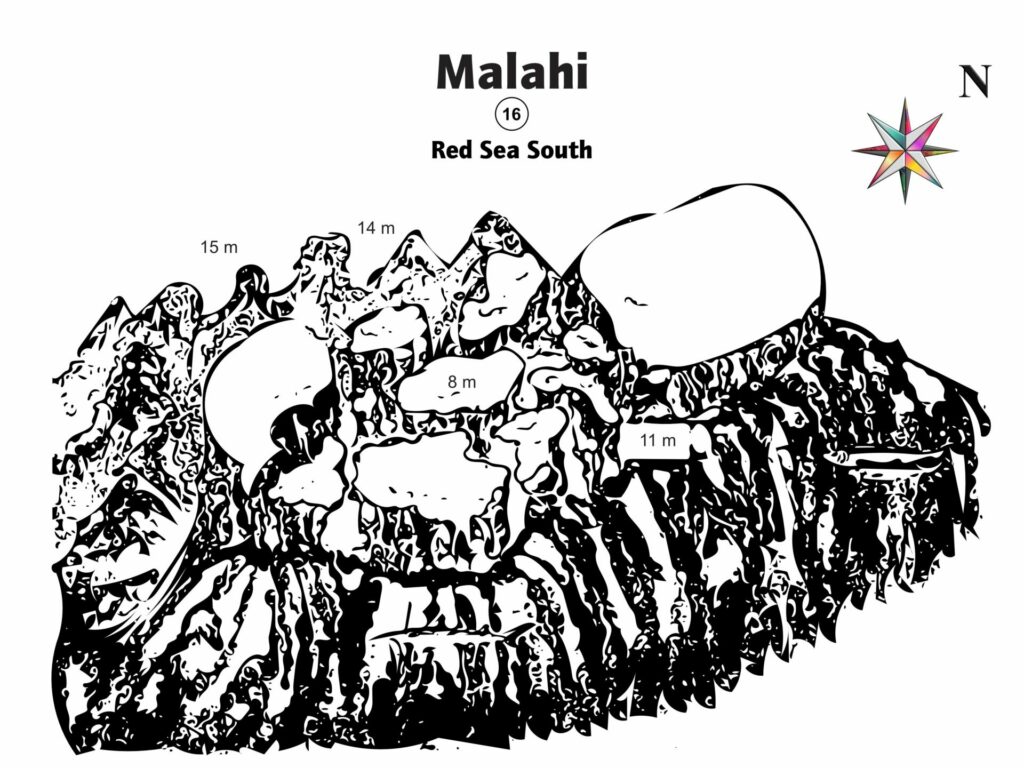 Malahi